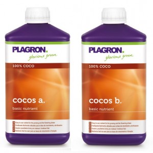 Plagron Coco