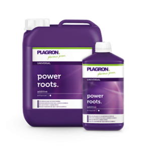 plagron power roots